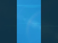 Magnete per frigorifero in lega di zinco Rose Bouquet con foglie metalliche