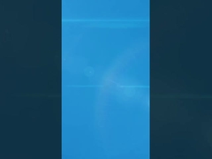 Tessura solida Oro antico Medaglie di gara personalizzate Corsa a tema animale Joyrun