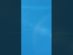 Magnete per frigorifero a fiori di rosa di legno con foglie metalliche